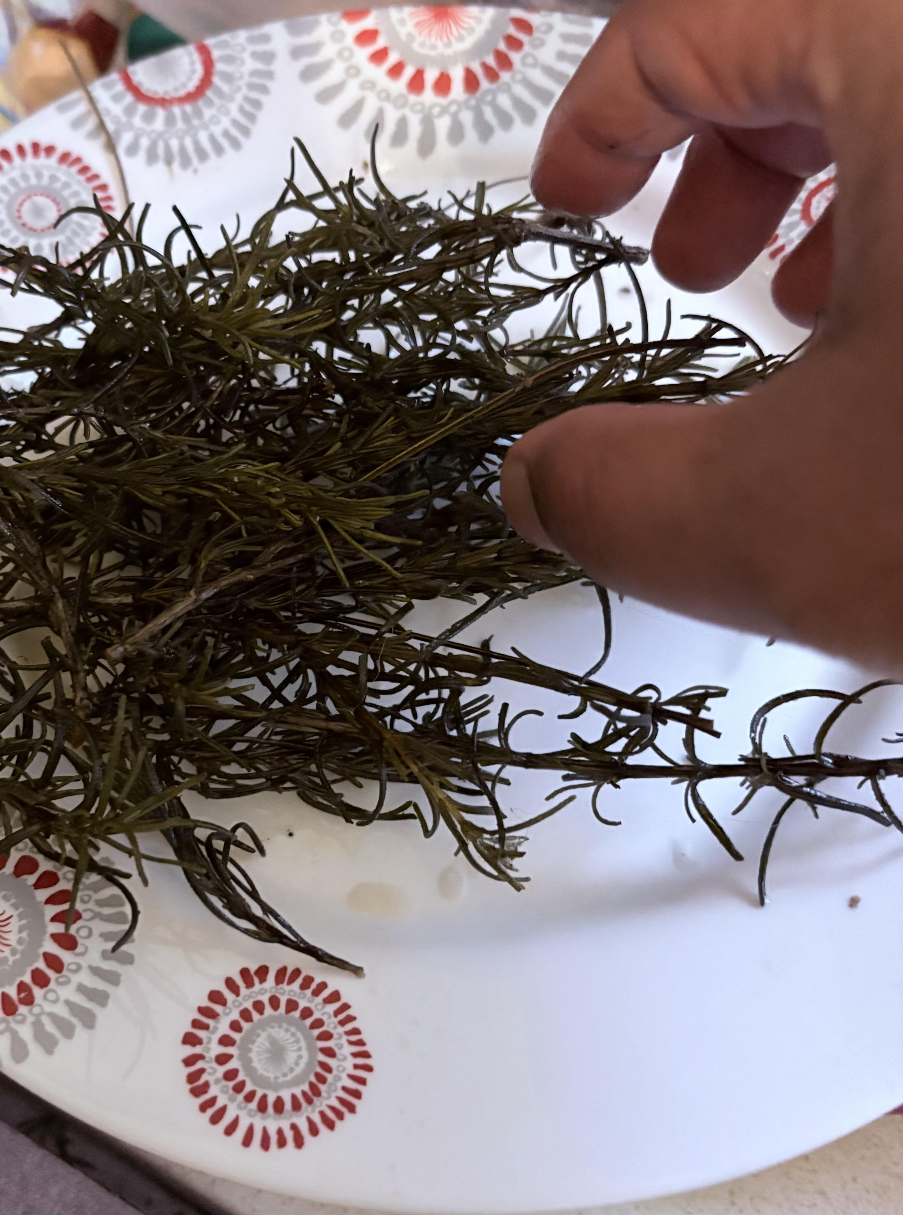 Plantes authentiques